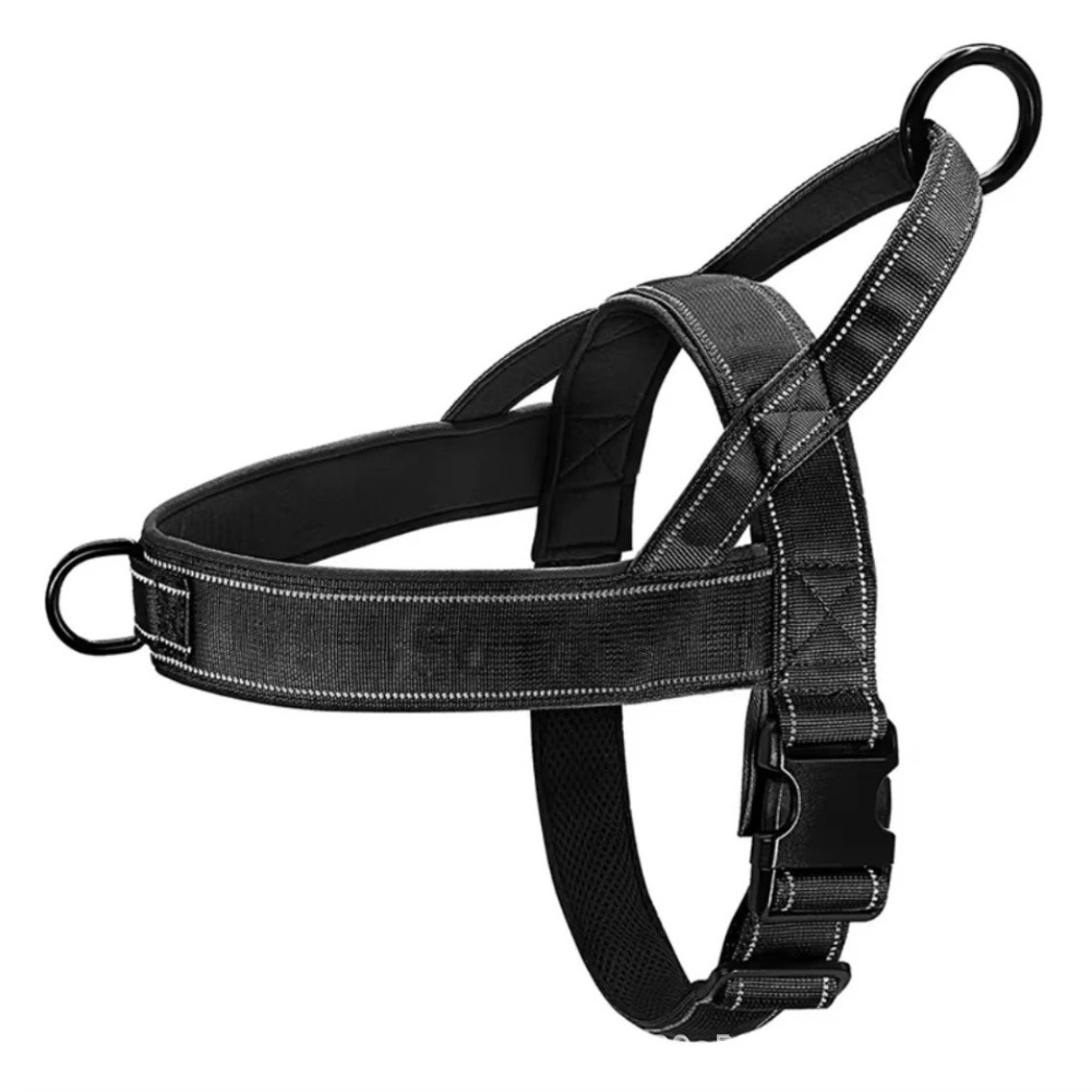 Quick Release Buckle No Pull H - Outdoor Adventure Walks のレビューと価格