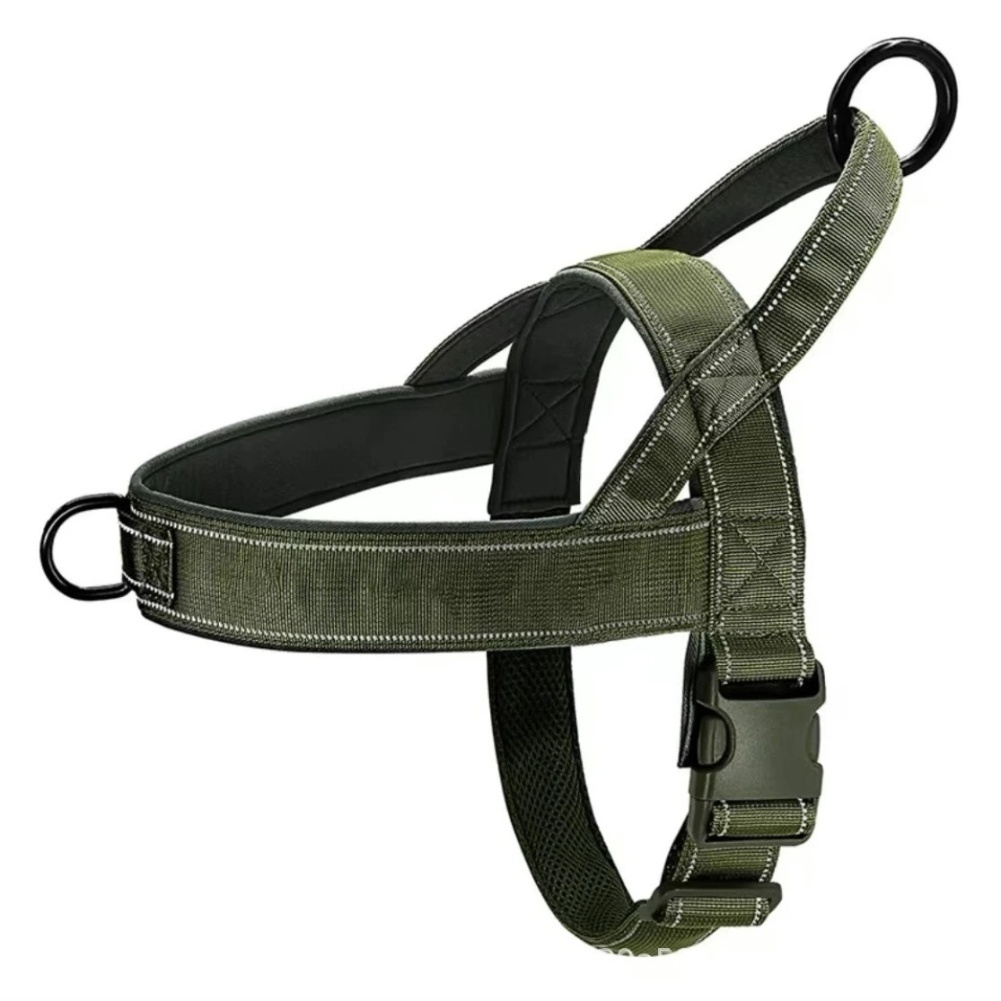 Quick Release Buckle No Pull H - Outdoor Adventure Walks のレビューと価格