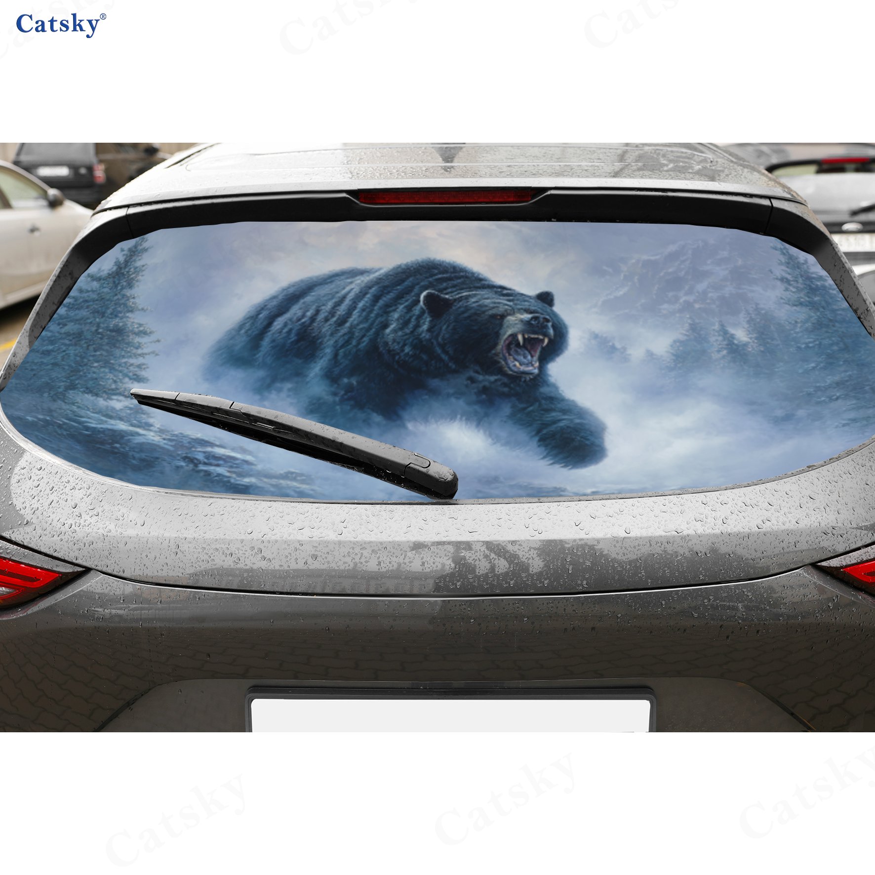 Outdoor Adventure Angry Bear P - Outdoor Adventure Films のレビューと価格